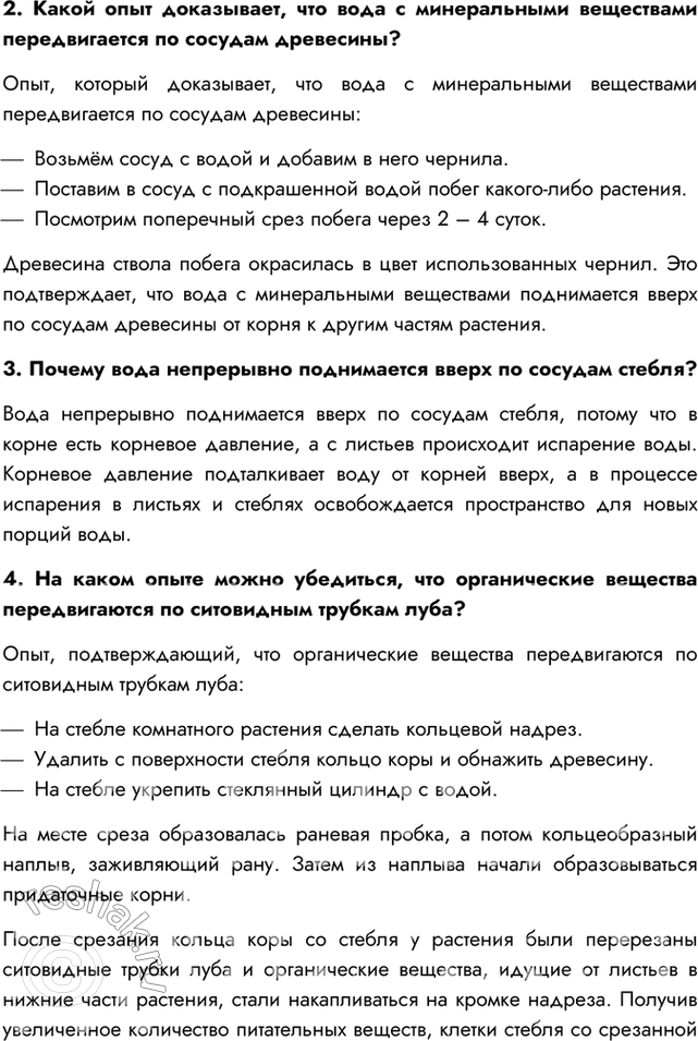 Дополнительное изображение